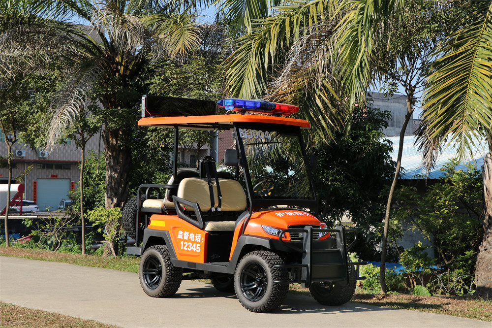 護(hù)林防火巡查車，電動(dòng)巡邏車
