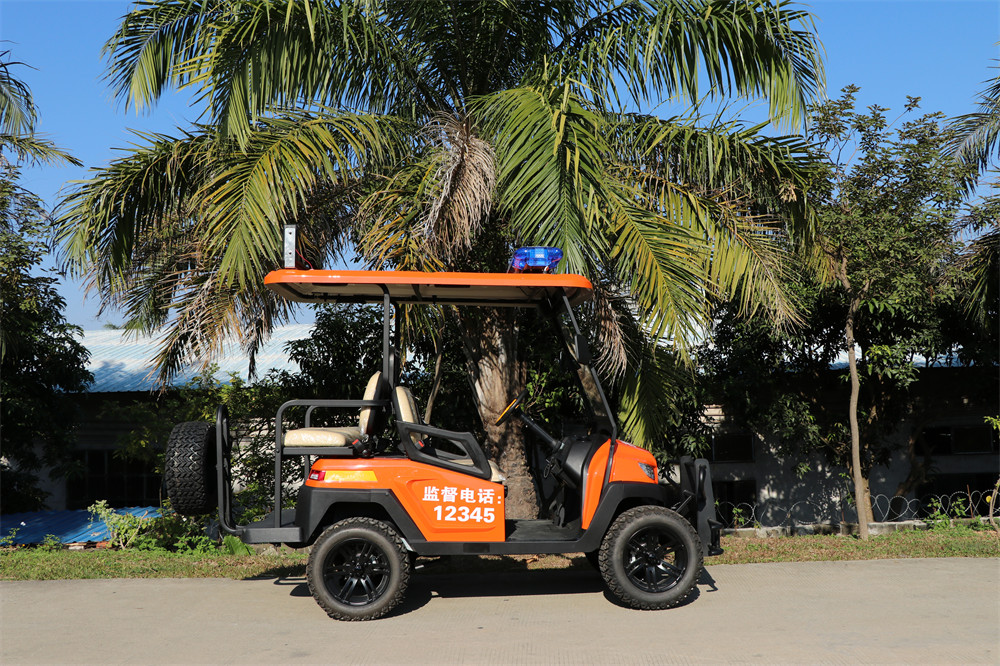 護(hù)林防火巡查車，電動(dòng)巡邏車